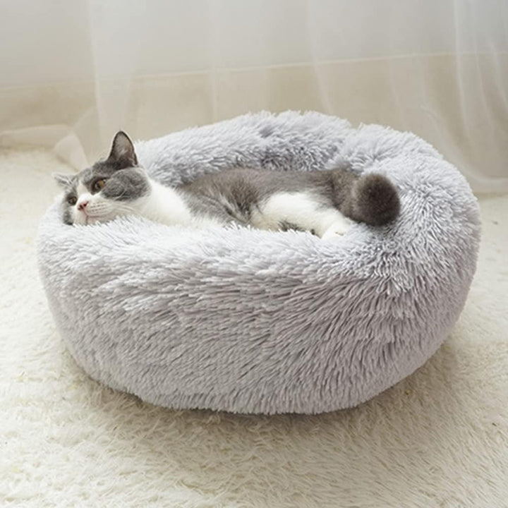 Cat Beds, Dog Beds & Blankets | Pawsome Couture®