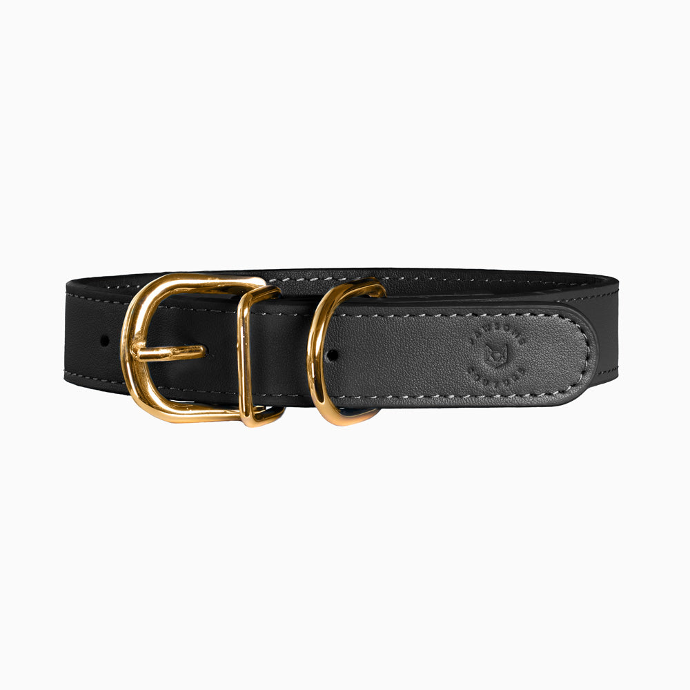 Leather Dog Collar