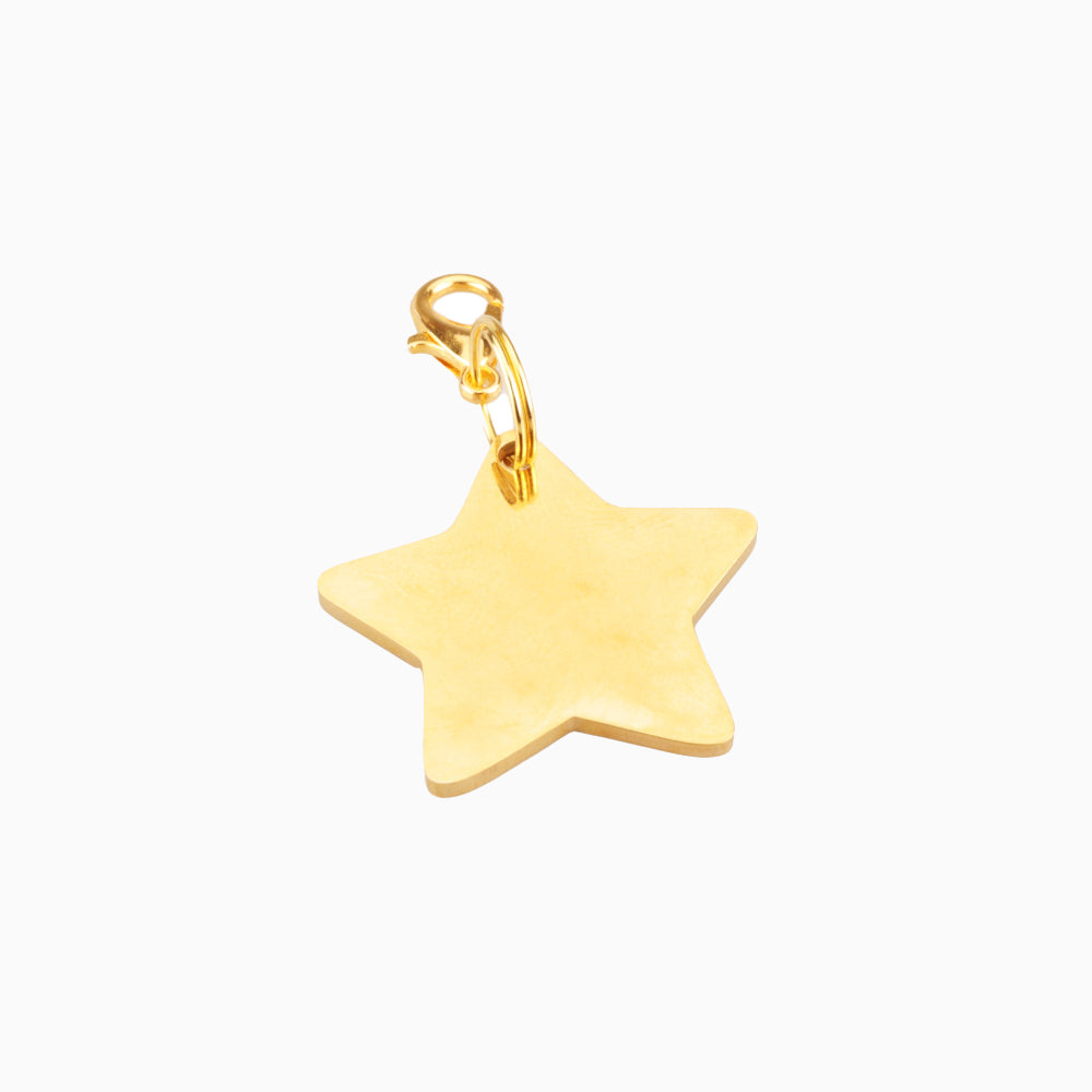 Star Pet ID Tag