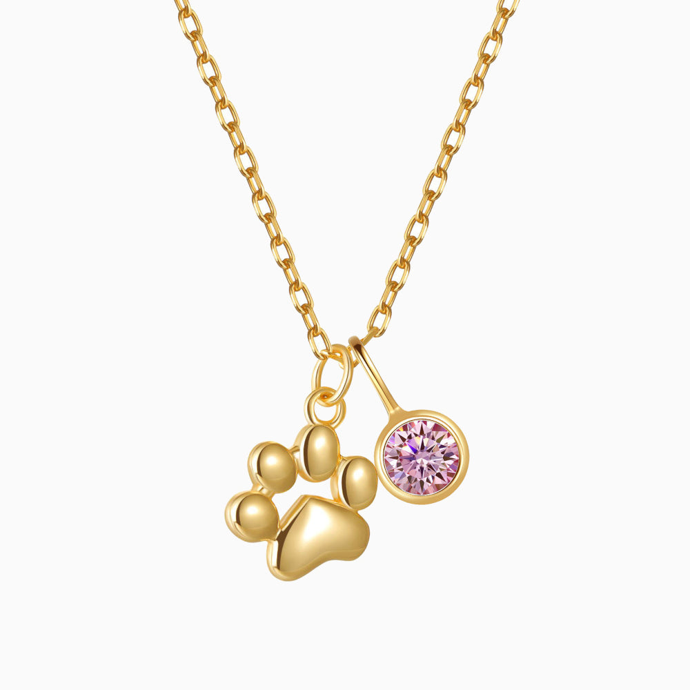 Teeny Tiny Paw Necklace with Charm