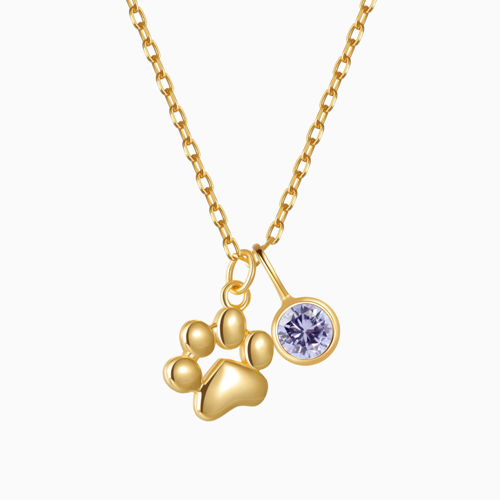 Teeny Tiny Paw Necklace with Charm