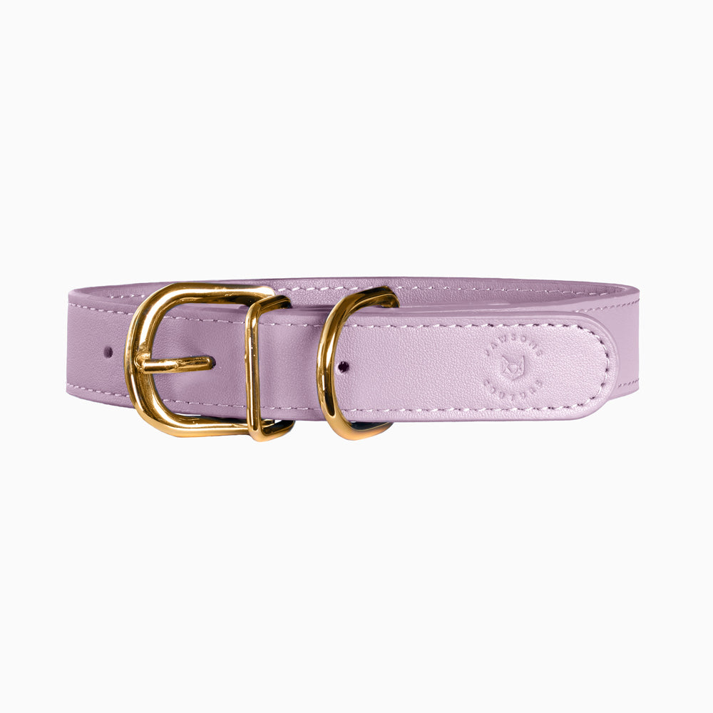 Leather Dog Collar