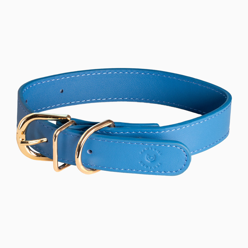 Dog Collars