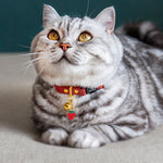 Red Luxury Cat Collar with Fruit Charm