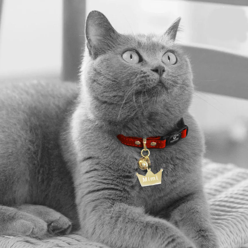 Cat collar fashion tag