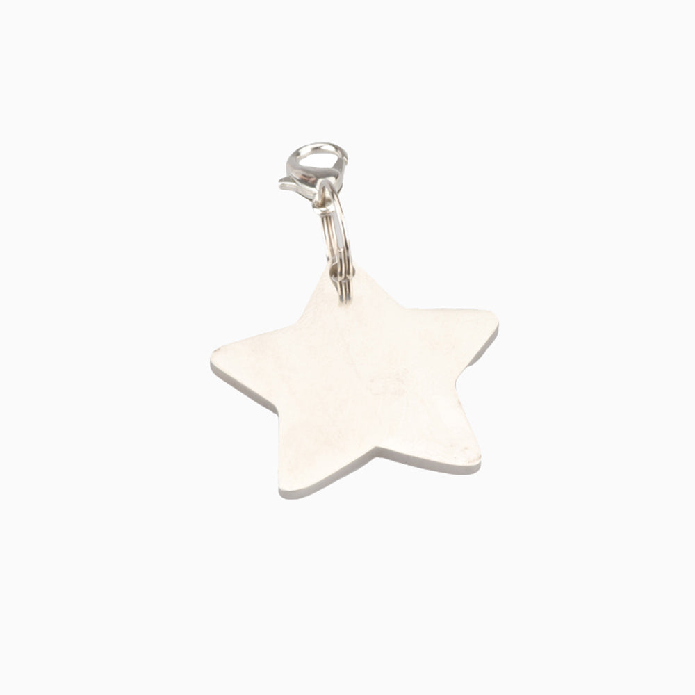 Star Pet ID Tag