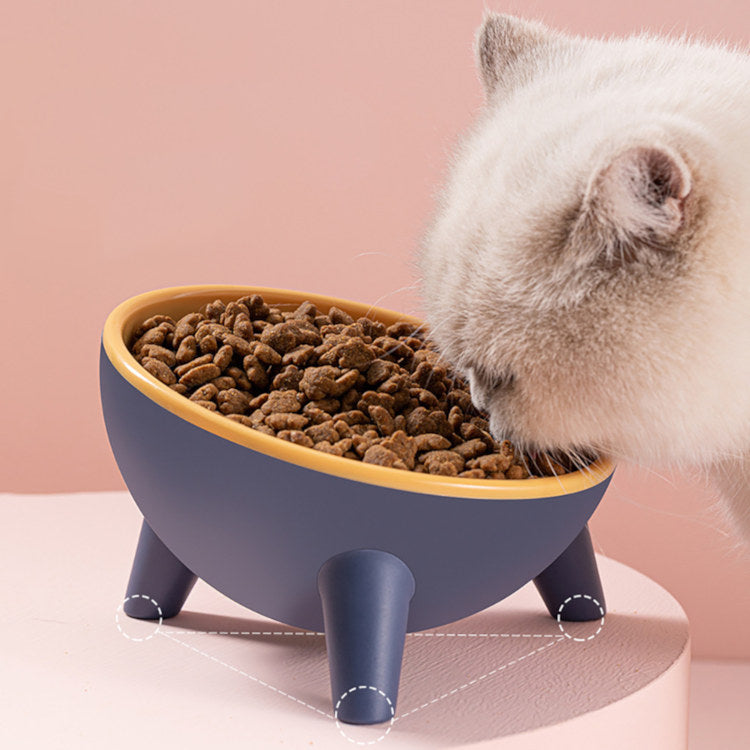 Colorful Tilted Tripod Pet Bowl