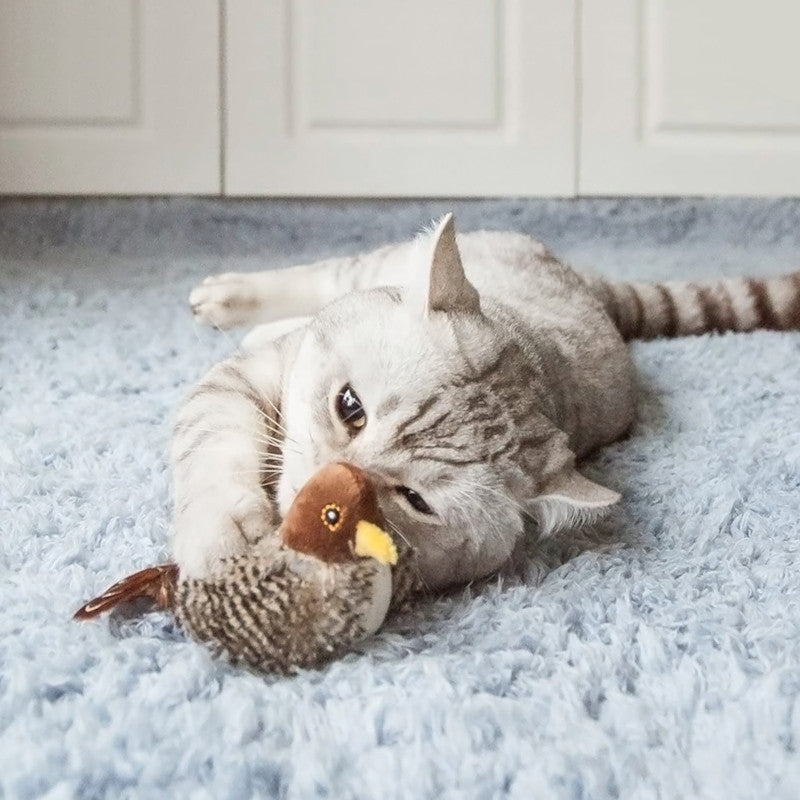 Cat toy bird that chirps hotsell